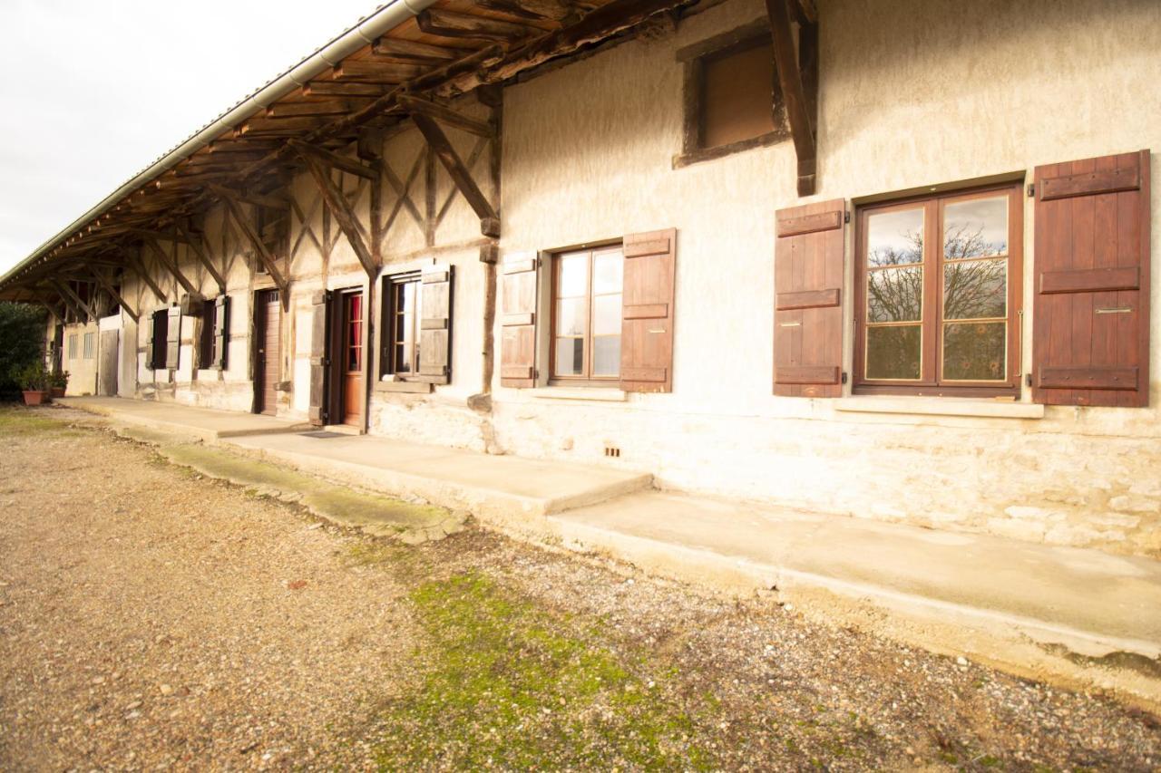 Ferme Bressane - 4 Chambres Saint-Etienne-du-Bois  Luaran gambar